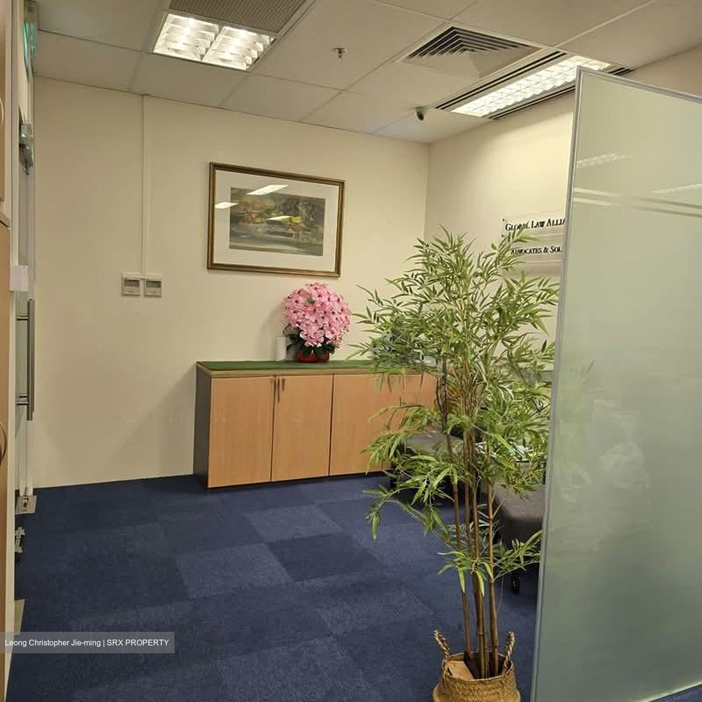 Tan Eng Kiam Building (D1), Office #557113501